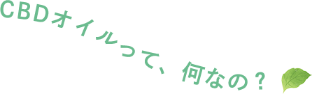 CBDオイルって、何なの？
